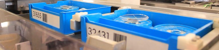 All of the posts have the same content right now.